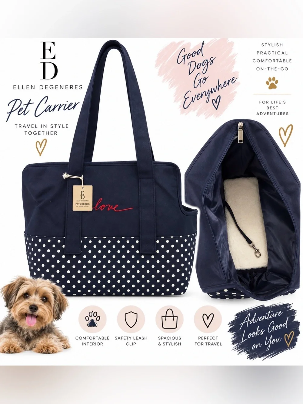 Ellen Degeneres stylish pet
